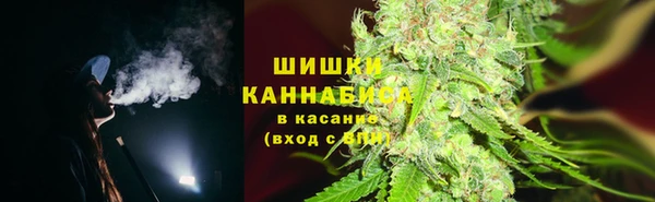 хмурый Абаза