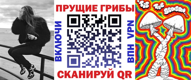 Галлюциногенные грибы Psilocybe Беломорск